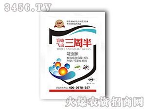 ä���w�x���ܰ�-�����r(n��ng)�I(y��)