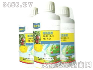 ���S����-�M����-�ֵ��S