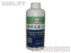 1L�b΢��Ԫ�ش�ȫ