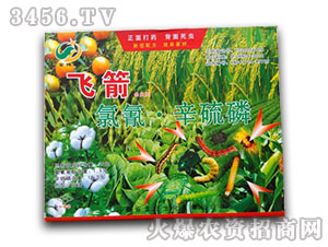 ����������-�w��-�����r(n��ng)ˎ