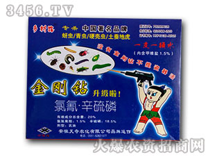 ����������-�l(xi��ng)��·-�I(l��ng)���r(n��ng)�I(y��)