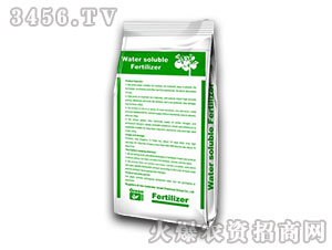 �M��ˮ�ܷʾG�������棩-���㺣