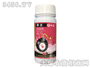 20%����ບ��x(ch��ng)��-���_(d��)-��Ѹ