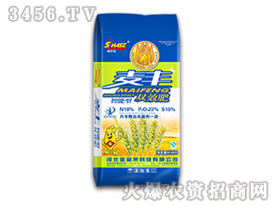 ���S�pЧ��-��ţ