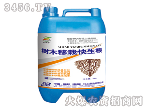 ��ľ���Կ��������_ʩ�ʣ�-�������