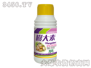 ������˸��o��������-�������