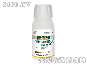 �|̦���ᣨ�{(di��o)��(ji��)����-�������