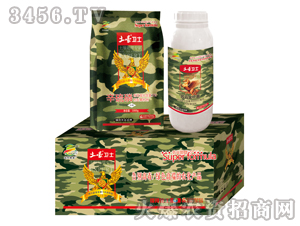 ������+�K�ƽ�U��-�����l(w��i)ʿ-�������