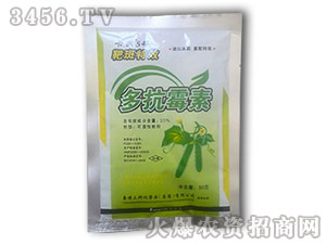 �࿹ù��-���r(n��ng)5̖(h��o)-����ʘI(y��)