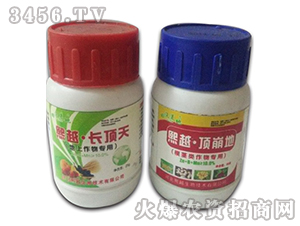 ���o�����-��Խ픱���-��Խ����