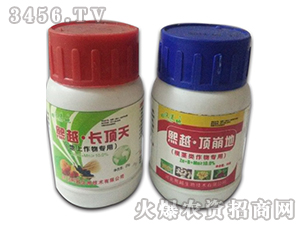 ���������-��Խ�L���-��Խ����