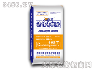 �����ЙC(j��)��-����-�����