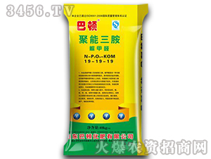 ���������ͺϷ���19-19-19-���D