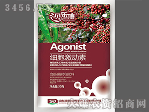 ��������ˮ�ܷ���-��(x��)��������-ؐ����-��᷾G��