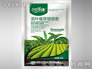 ���~��ѿ������-ؐ����-��᷾G��