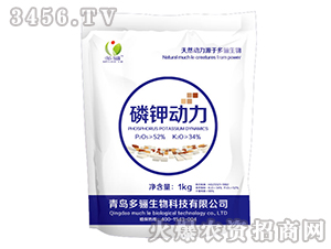 ��⛄���-���P����