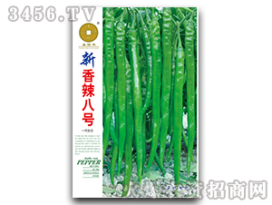 ��������̖-�����N��-�A��N�I(y��)