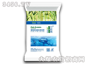 ֲ��̼���~���ף��ۺϷ�-����