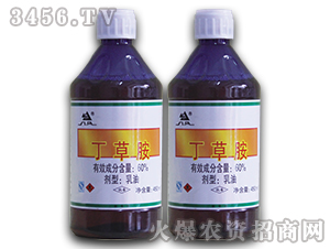 60%���ݰ�����-�L(zh��ng)�p