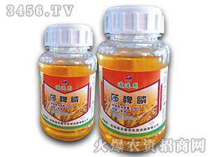 30%ɯ��������-���m��-�L�p