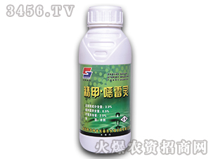 3%���ס��fù�`ˮ��-�L(zh��ng)�p