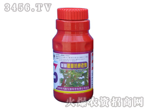 ����������˥�τ����{(di��o)��(ji��)����-�W��˹