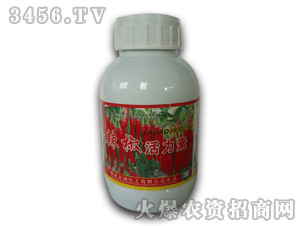 ���������أ�ˮ�ܷ��ϣ�-�W��˹