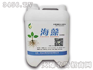 �����ͺ���ֲ��ˮ�ܷ���-����r(n��ng)�I(y��)