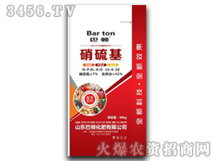 �������(f��)���16-6-20-���D