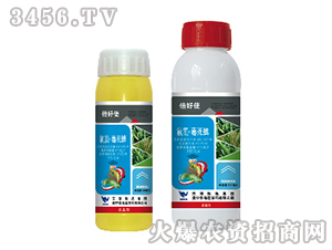 ���衤������-����ʹ-���{(l��n)�r(n��ng)ˎ