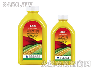 41%�����ݡ�ݬ-��o�n-���{�r(n��ng)ˎ