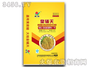 �S����ˮ�������辌��÷�-���o��-����