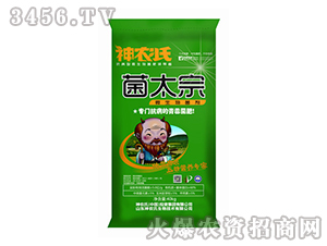 ΢�������-��̫��-���r(n��ng)��