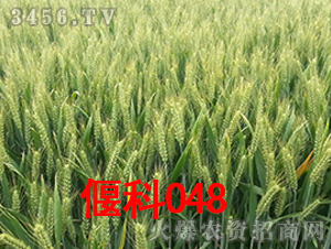 �ȿ�048-С���N��-�̶��N�I(y��)