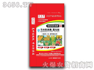 ���ܸ�Ч����-�|���S-���Ƽ��r(n��ng)