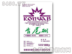 1000g΢��-������-�r��