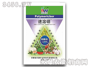 1000g΢��-������-�r��