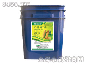 �ҡ�ݬ���ζ���-ͰͰ��-�G��