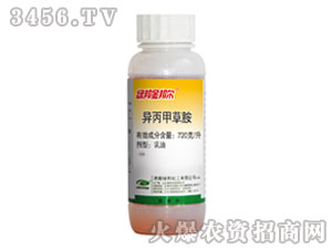 �����ײݰ�-��-�G��