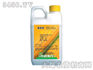 ����������݄�-�񘷘�-�G��