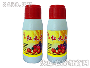 �~���-һ���t�ִ�-���r(n��ng)����