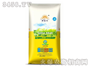 �}�A�������ޏ�(f��)��-����