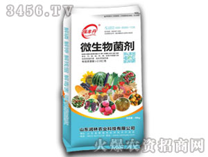 ���䌣��΢�������-���S��-��(r��n)���r(n��ng)�I(y��)