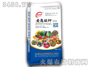 �S��������B(t��i)�h(hu��n)���ЙC(j��)��-���S��-�����r(n��ng)�I(y��)