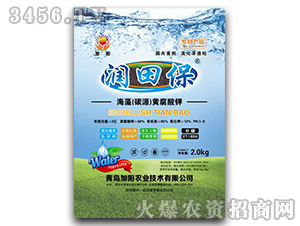 ���壨̼Դ���S�����-��(r��n)�ﱣ-���(y��ng)