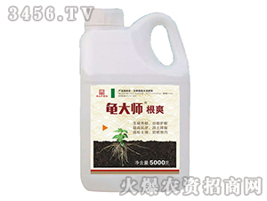 ֲ���{��(ji��)��-����-������