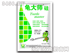 ��һ΢��Ԫ�ع��-����-������(sh��)