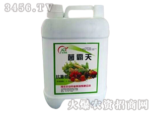 ΢�������-������-�����r(n��ng)�I(y��)