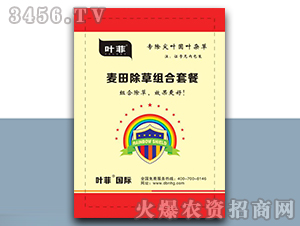 ������ݽM���ײͣ��������~�A�~�s�ݣ�-�~��-�°��r(n��ng)