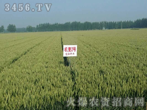 ɽ�r(n��ng)�C(j��)��2̖-С��-�|�Ѻ�